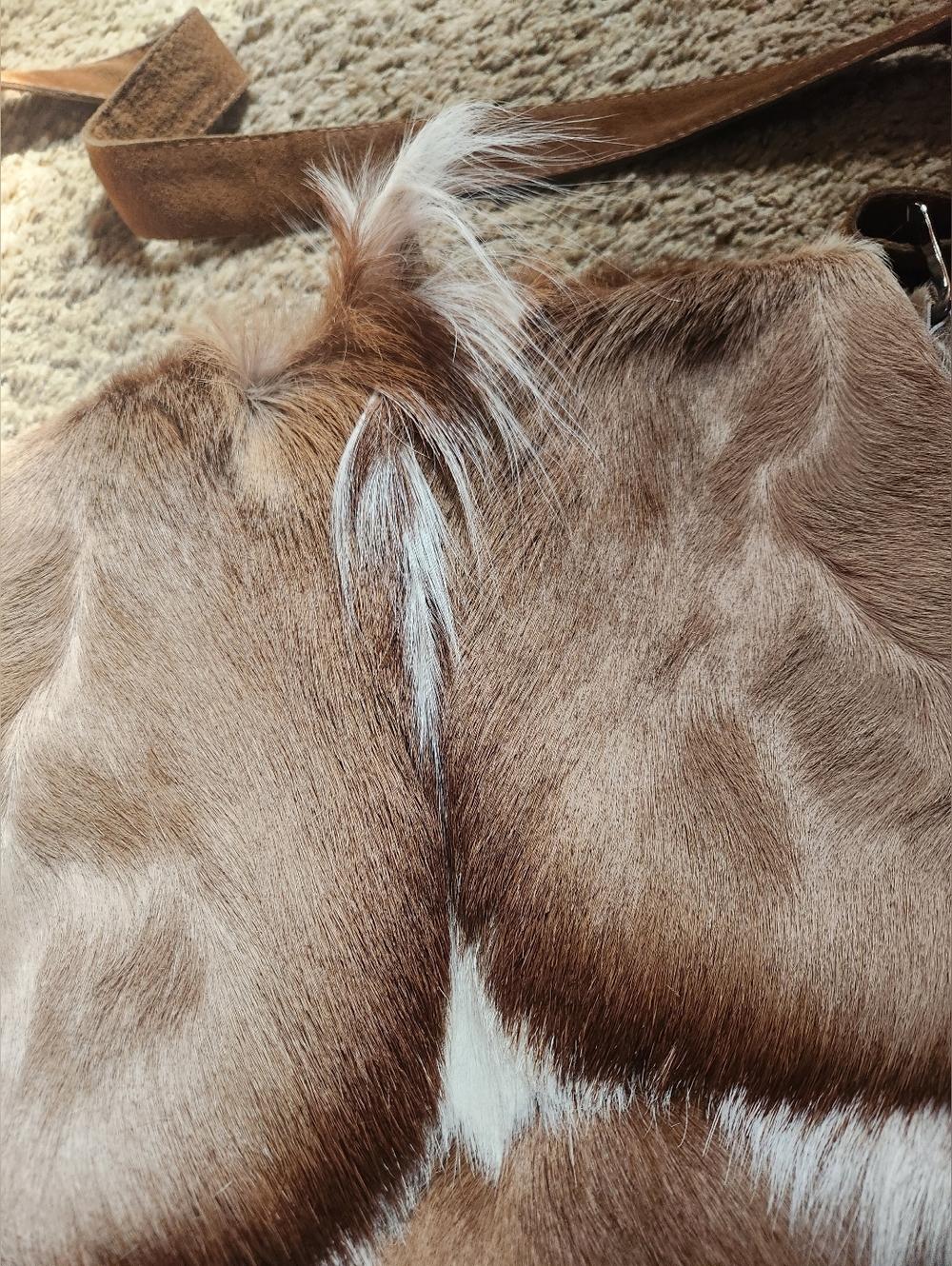 Natural Brown Antelope Crossbody Bag - Picture 9 of 12